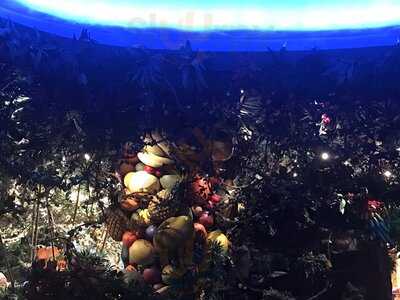 Rainforest Cafe