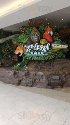 Rainforest Cafe