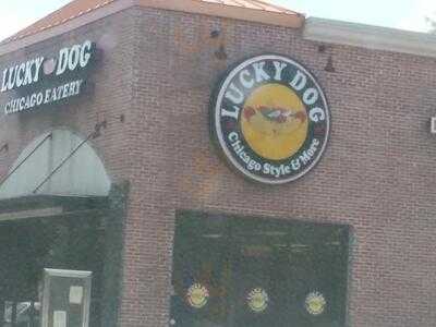 Lucky Dog