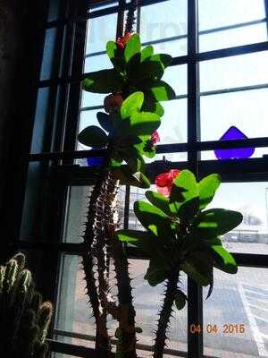 Four Corners Of The Earth