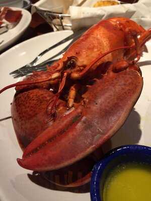 Red Lobster