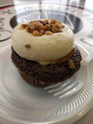 The Cocoa Bean- Bakery, Drinks, Ice Cream