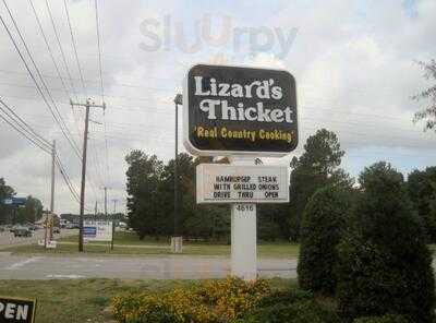 Lizard's Thicket