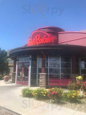 Red Robin