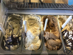 Shy Guy Gelato