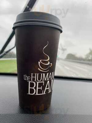 The Human Bean