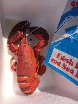 The Lobster Pound