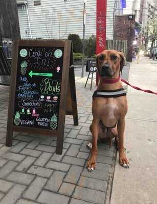 Frutta Bowls New Brunswick Rutgers