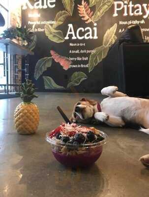 Frutta Bowls New Brunswick Rutgers