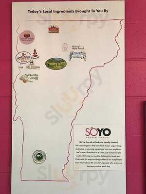Soyo Frozen Yogurt