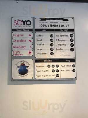Soyo Frozen Yogurt