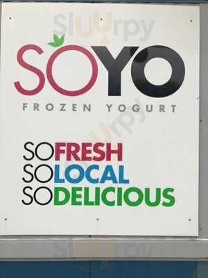 Soyo Frozen Yogurt