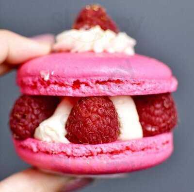 Macarons By Maddie Lu