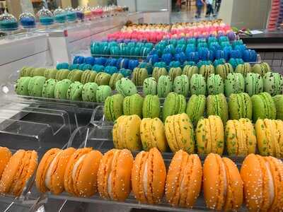 Macarons By Maddie Lu