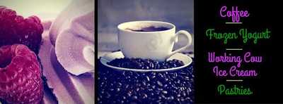 Frozen Yogurt Factory