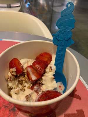 Menchie's Frozen Yogurt