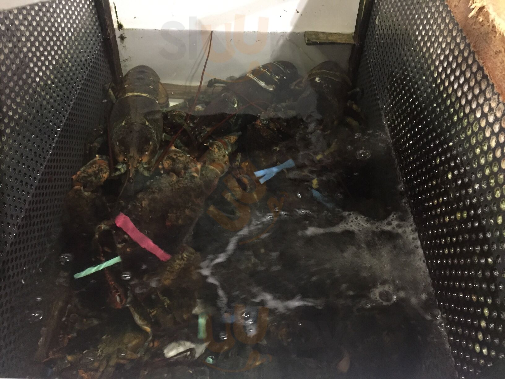 Jailhouse Deli And Liquors And Bait And Tackle