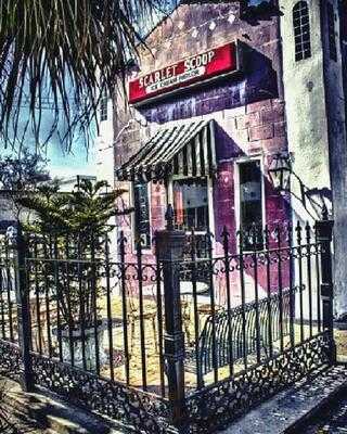 Scarlett Scoop Ice Cream