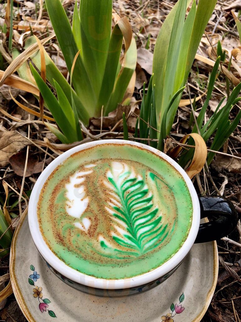 The Electric Brew