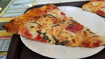 Terra Nova Four Seasons