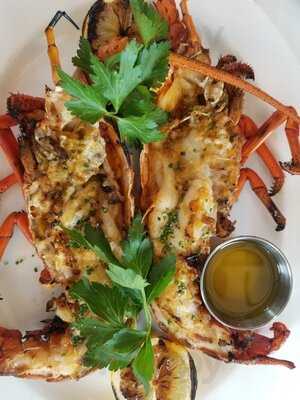 Fishing With Dynamite