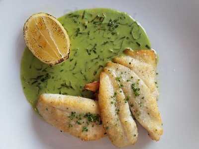 Fishing With Dynamite