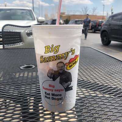 Big Sammy's Hot Dogs