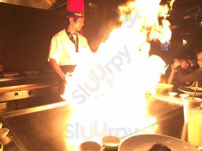 Sakura Japanese Steak House