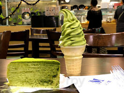 Yogurtland