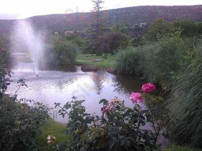 Tc’s Bar And Grill