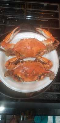 Harbour House Crabs