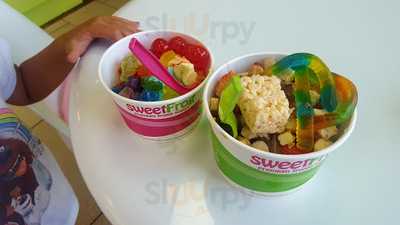 Sweet Frog Addison