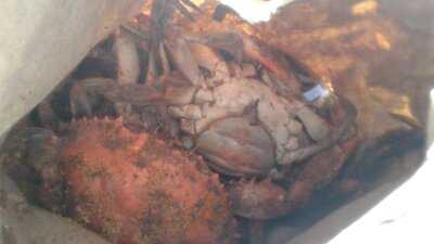 Pleasanton's Seafood