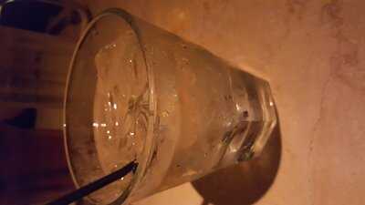 The Cheesecake Factory