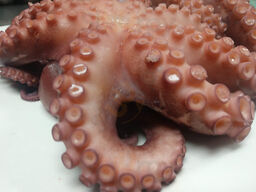 Chili Peppers Mexican Restaurant And Seafood