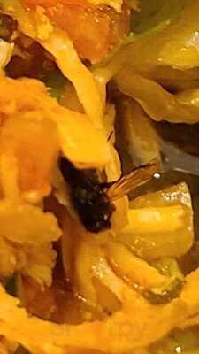 Frontera Tacos And Tequila