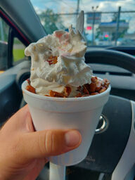 Swiss Treat
