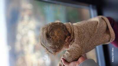 Asiago Tuscan Italian Restaurant