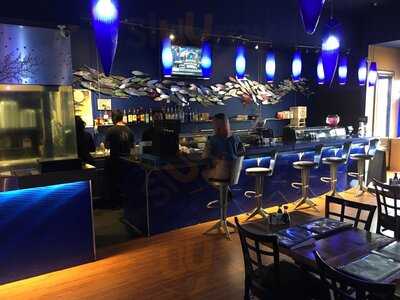 Blue Fin Sushi And Bar
