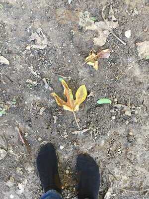 Happy Family Vegetarian Restaurant