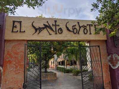 Foto 29145056