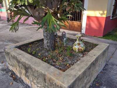 Foto 29145104