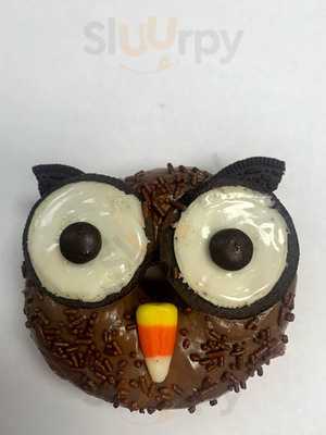 Kiwi Loco - Twin Falls