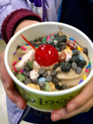 Kiwi Loco - Twin Falls