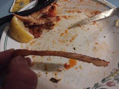 Carini's Pizzeria & Restaurant