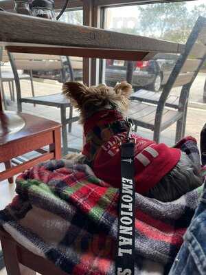 Anthony's Coal Fired Pizza