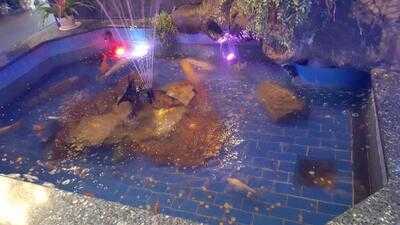 Pacific Fusion Buffet And Grill