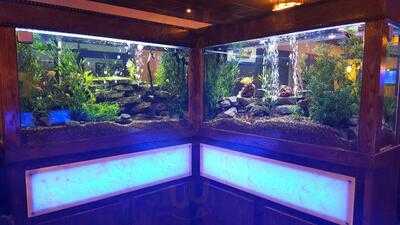 Pacific Fusion Buffet And Grill