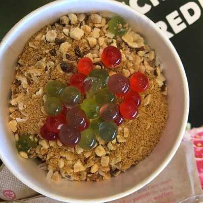 Menchie's Frozen Yogurt