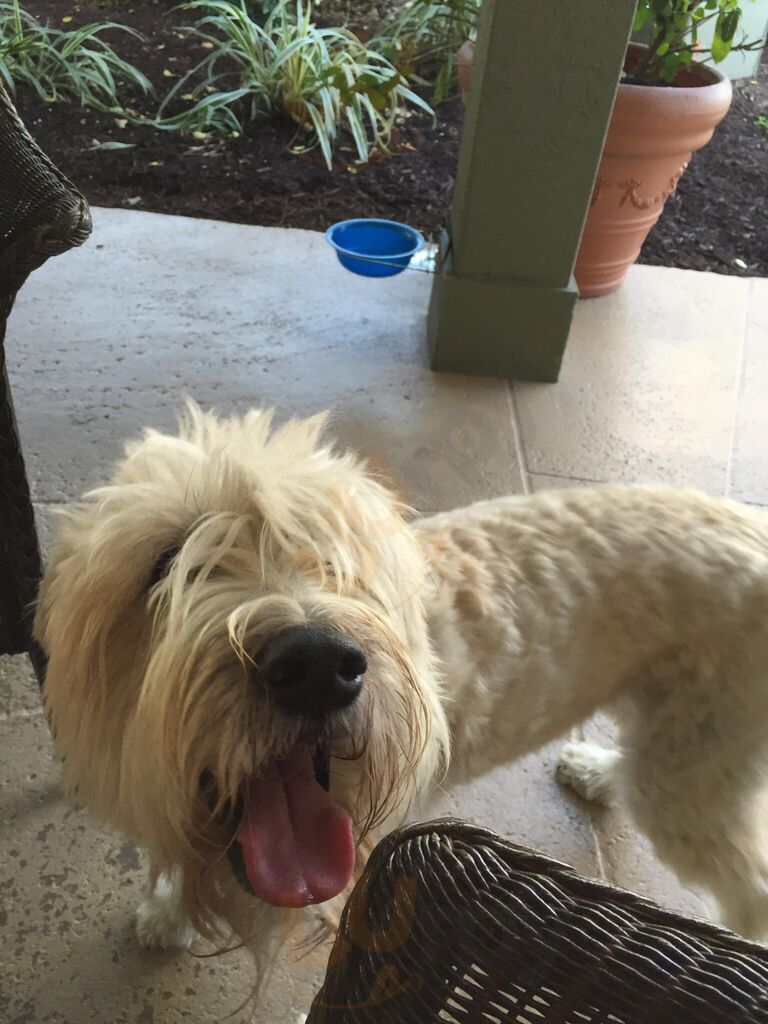 Gabriel's Cafe And Grille